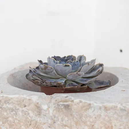 Villa Casal Da Serra Da Arrabida