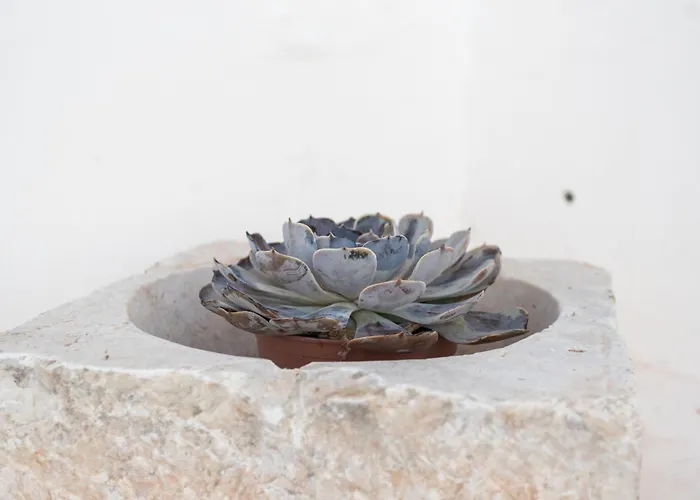 Βίλα Casal Da Serra Da Arrabida
